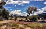 m_IMG_0938