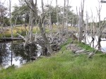 m_IMG_2121