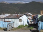 m_IMG_2503