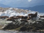 m_IMG_2534