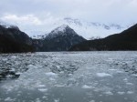 m_IMG_2684