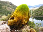 m_IMG_2746