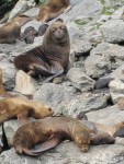 m_IMG_2806