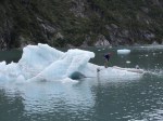 m_IMG_2859