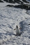 m_IMG_9630