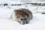 m_IMG_9667