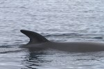 m_IMG_9745