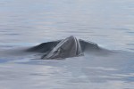 m_IMG_9755