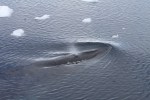 m_IMG_9772