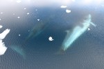 m_IMG_9794