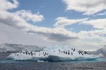 m_IMG_9796
