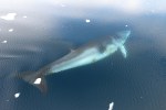 m_IMG_9802
