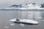 m_IMG_9845