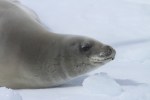 m_IMG_9855