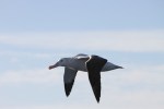 m_IMG_9941