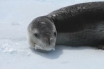 m_IMG_9942 (2)