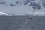 m_IMG_9962