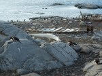 m_P1020219