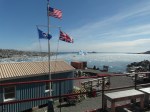 m_SAM_0238