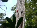 TestP1000834