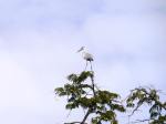 TestP1000880
