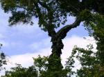 TestP1000943